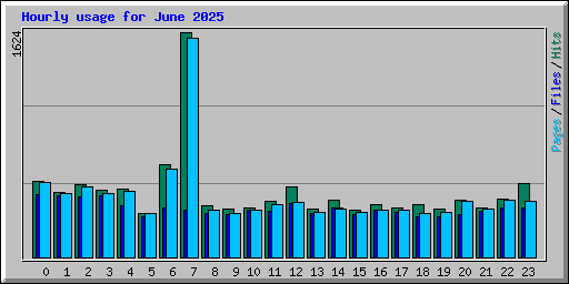 Hourly usage for June 2025