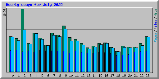Hourly usage for July 2025