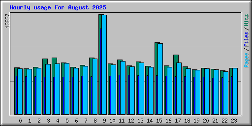 Hourly usage for August 2025
