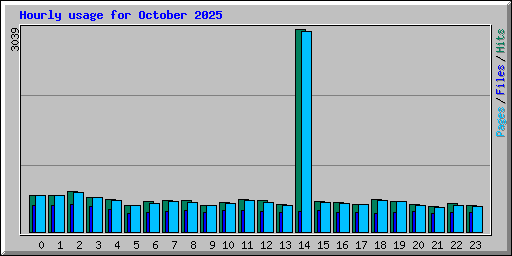 Hourly usage for October 2025